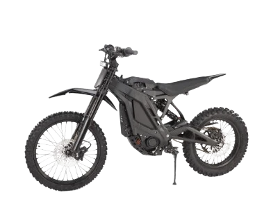 E-RIDE PRO SS 3.0